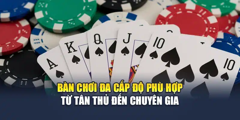 Bàn chơi đa cấp độ phù hợp từ tân thủ đến chuyên gia