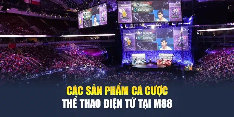 Các thể loại cược Esport phổ biến tại M88