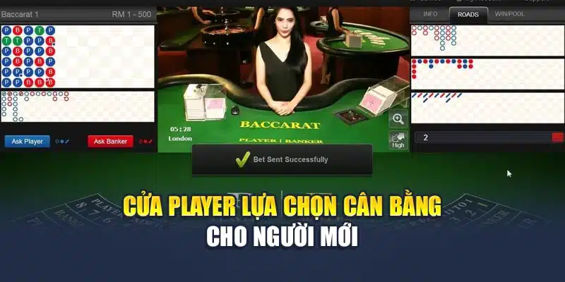 Cửa player lựa chọn cân bằng cho người mới