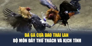Đá Gà Cựa Dao Thái Lan – Bộ Môn Đầy Thử Thách Và Kịch Tính