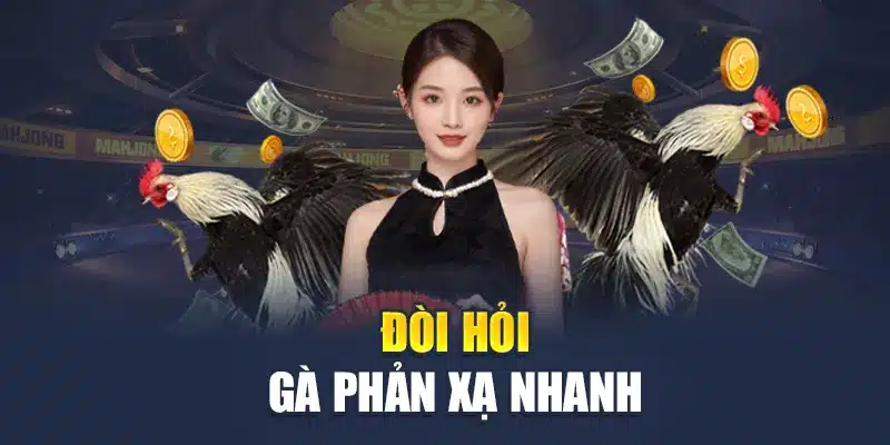 Đòi hỏi gà phản xạ nhanh