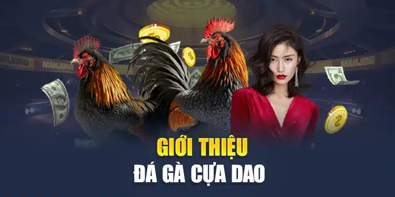 Giới thiệu đá gà cựa dao 