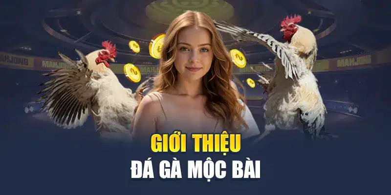 Giới thiệu đá gà mộc bài