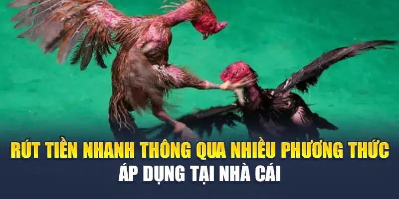 Rút tiền nhanh thông qua nhiều phương thức áp dụng tại nhà cái