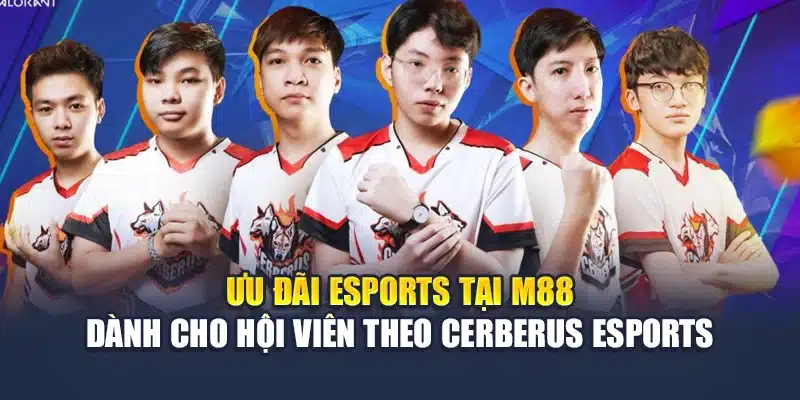 Ưu đãi Esports tại M88 dành cho hội viên theo Cerberus Esports